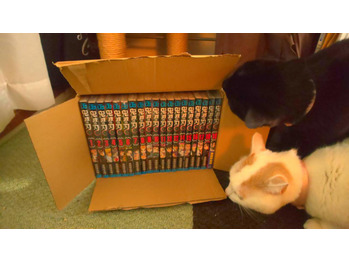 ブログ画像