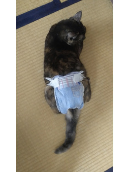 ブログ画像