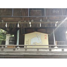 ブログ画像