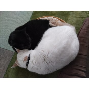 ブログ画像