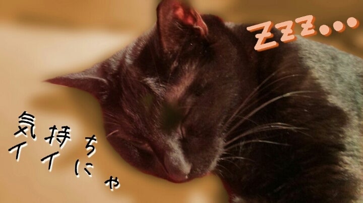 ブログ画像
