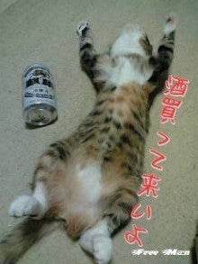 ブログ画像
