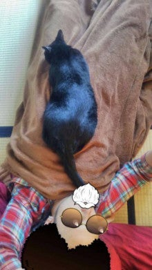 ブログ画像